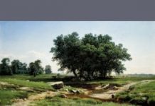 Ayurvedic tips to stay calm during crisis