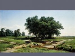 Ayurvedic tips to stay calm during crisis