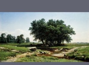 Ayurvedic tips to stay calm during crisis