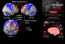 Your brain pattern worsens when you lie – Here is the remedy