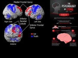 Your brain pattern worsens when you lie – Here is the remedy