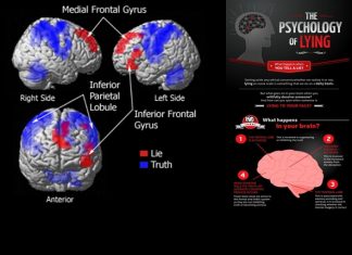 Your brain pattern worsens when you lie – Here is the remedy