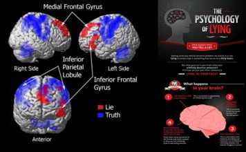 Your brain pattern worsens when you lie – Here is the remedy