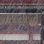 First time since 1962 – Tokyo sees November snow