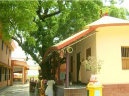 Knowing Sri Mayapur As It Is – 7 Yogapith in Sri Mayapur Navadip dham