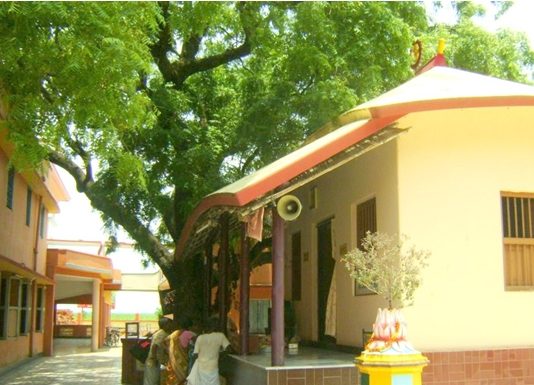 Knowing Sri Mayapur As It Is – 7 Yogapith in Sri Mayapur Navadip dham