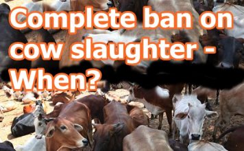 India’s unseen Rivers of Sorrow protect cows