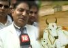 Rajasthan High Court: Make slaughter punishable by life term. Declare Cow as National Animal declare cow national animal, says high court justice