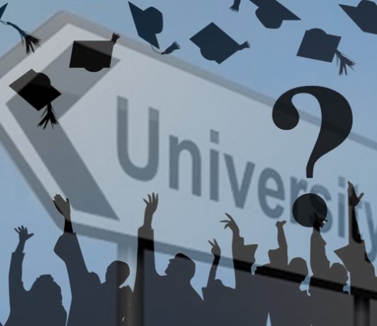 High university degrees and foreign education essential for a leader? univerisity education essential?