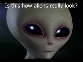 If aliens can watch us how can they be less advanced? is this how aliens look?