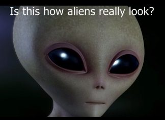 If aliens can watch us how can they be less advanced? is this how aliens look?