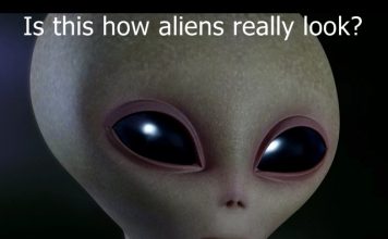 If aliens can watch us how can they be less advanced? is this how aliens look?
