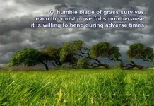 Genuine humility cannot be developed artificially – Here is why humility quote Mayapur Voice