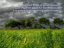 Genuine humility cannot be developed artificially – Here is why humility quote Mayapur Voice