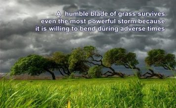 Genuine humility cannot be developed artificially – Here is why humility quote Mayapur Voice