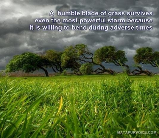 Genuine humility cannot be developed artificially – Here is why humility quote Mayapur Voice