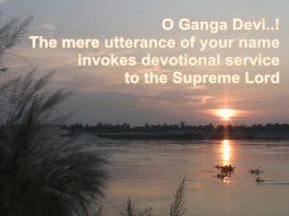 “O Ganga Devi, your waters are the ambrosia of love of Godhead” Ganga Devi