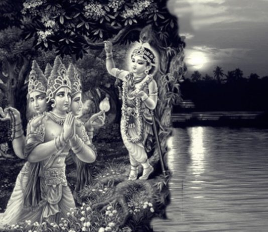 Knowing Sri Mayapur As It Is – 9 mayapur in antardvipa