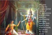 Resolved – Is Krishna an expansion of Vishnu or is it the other way around?
