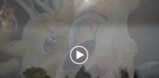 Stunning 5-minute visuals of Lord Nrsimha Abhishek in Sridham Mayapur lord nrsimha