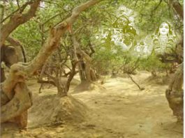 We will miss you, O Purushottam month! Lordships of Purushottam month