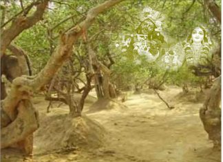 We will miss you, O Purushottam month! Lordships of Purushottam month