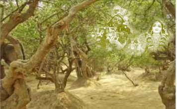 We will miss you, O Purushottam month! Lordships of Purushottam month