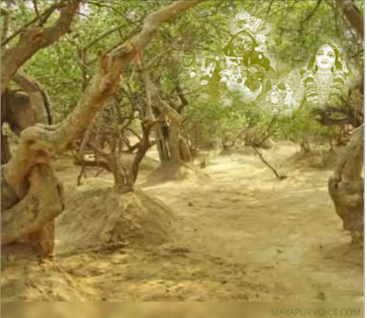 We will miss you, O Purushottam month! Lordships of Purushottam month