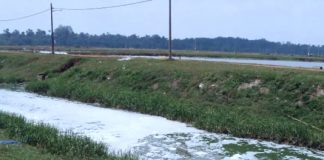 Water! Water! Water! agriculture water