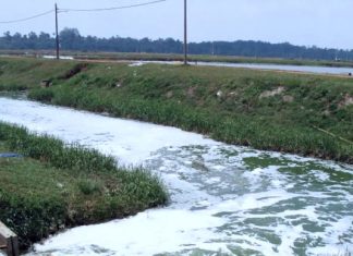 Water! Water! Water! agriculture water