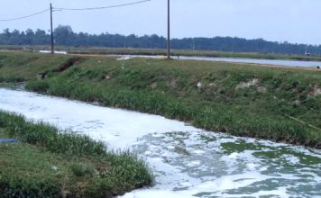 Water! Water! Water! agriculture water